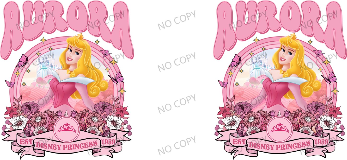 Y49793-Disney Pricess