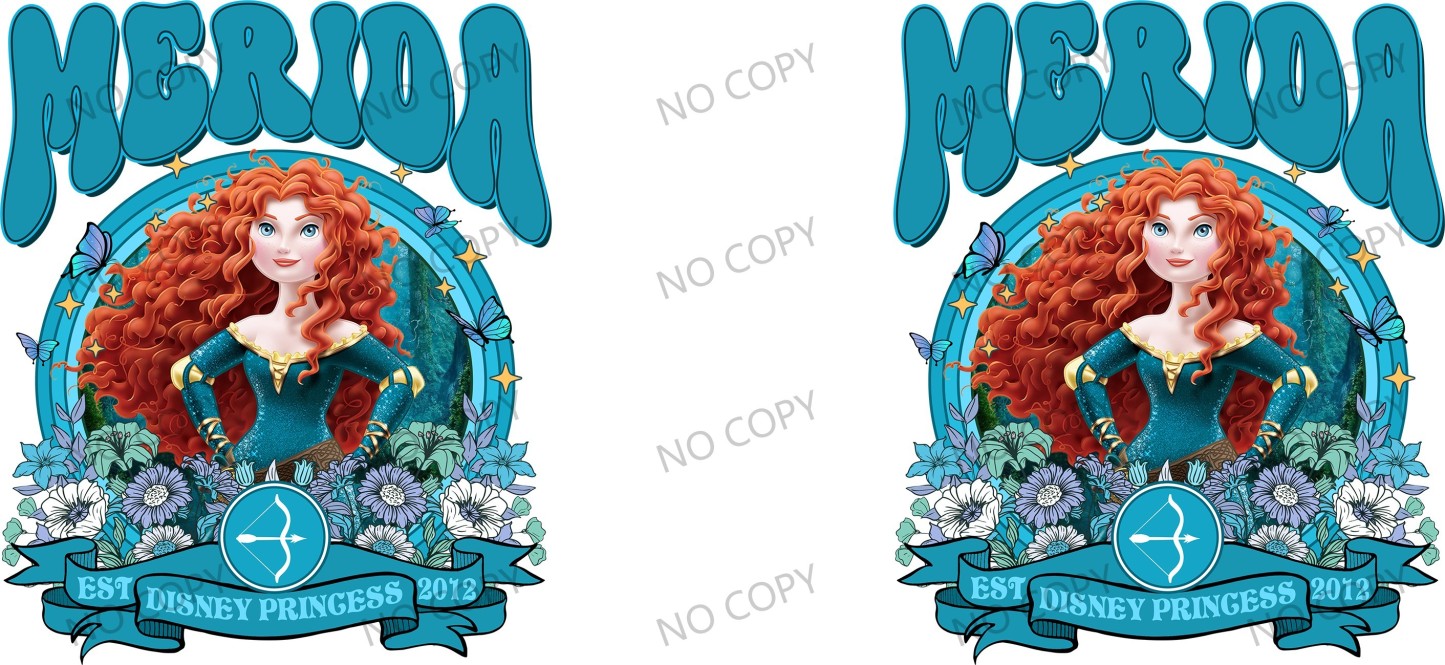 Y49795-Disney Pricess