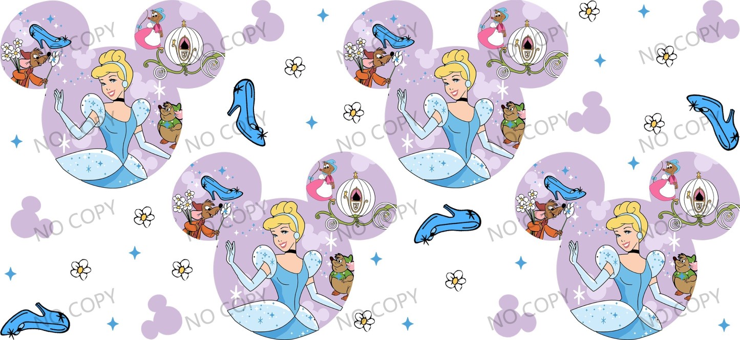 Y49801-Disney Pricess
