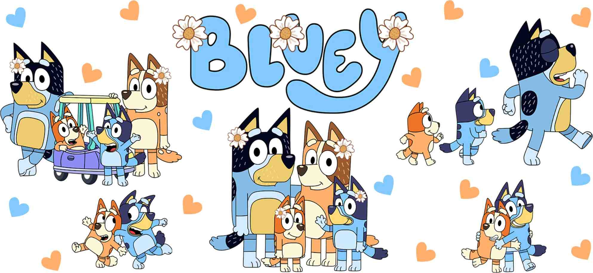 Y5607-Bluey