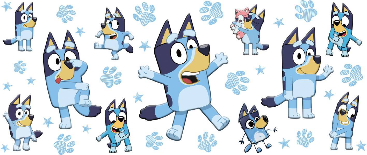 Y6265-Bluey