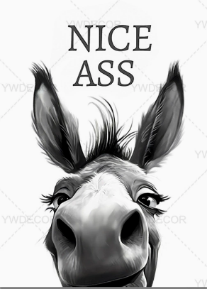 🏡✨Funny Bathroom Wall Art - "Nice Ass" Donkey Print