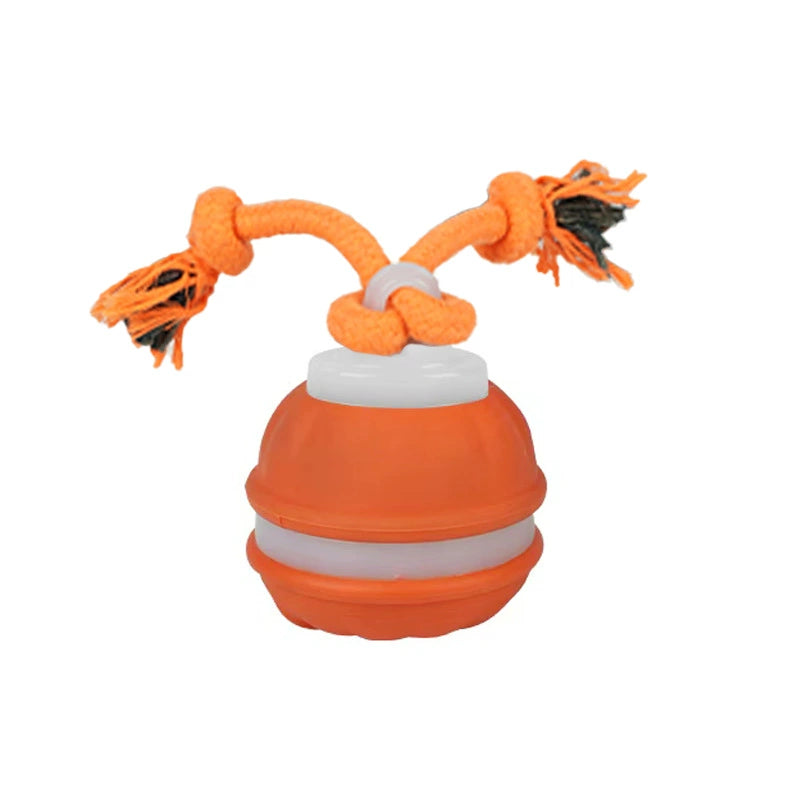 Smart Motion Pet Ball - Fur Buddy Friends