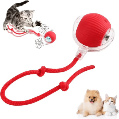 🔥Last Day 49% OFF - Interactive Toys Ball Automatic Pet Exercise Toys!