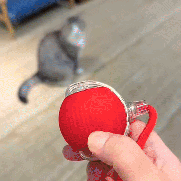 ezgif-258a73069e2a89.gif__PID:0475b0ff-7761-4f23-bc6f-c62227513827