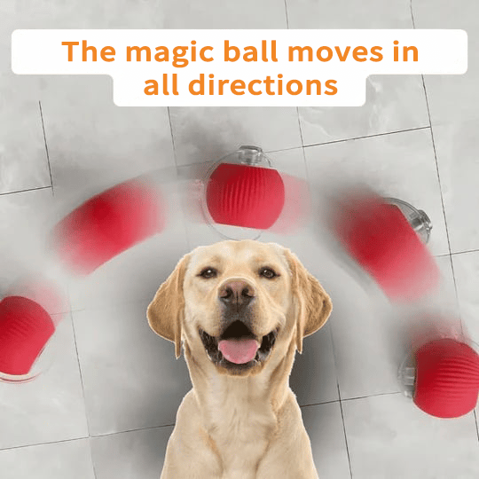 🔥Last Day 49% OFF - Interactive Toys Ball Automatic Pet Exercise Toys!