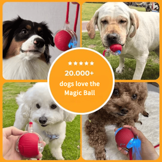 🔥Last Day 49% OFF - Interactive Toys Ball Automatic Pet Exercise Toys!