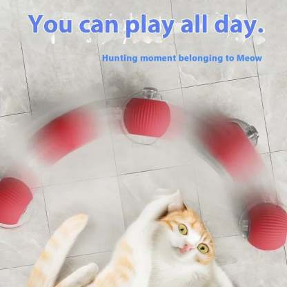 🔥Last Day 49% OFF - Interactive Toys Ball Automatic Pet Exercise Toys!