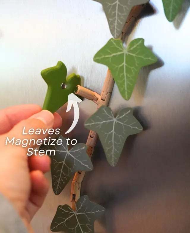 Ivy Fridge Magnet with Articulating Stems
