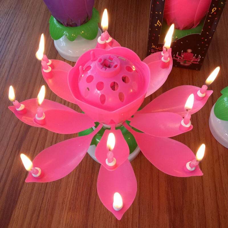 🎂Magic Flower Birthday Candle
