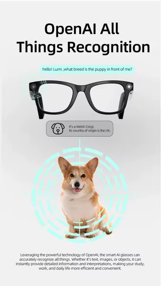 🎁🔥2025 New Arrival 🔥✨Super Black Technology✨Smart Wireless Headphone Sunglasses