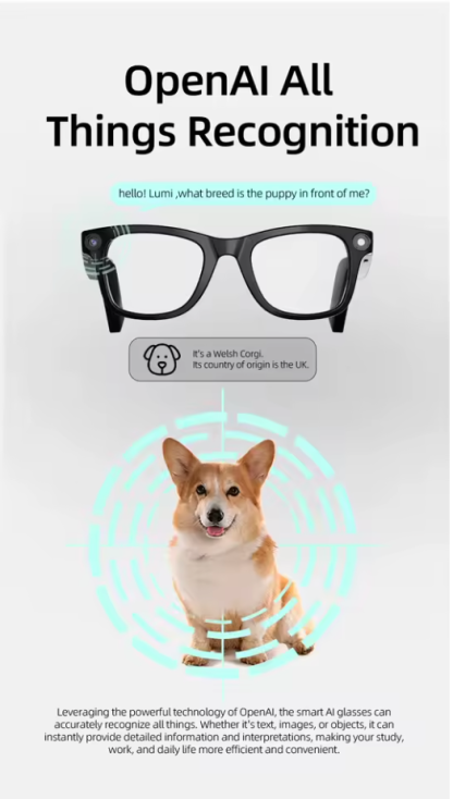 🎁🔥2025 New Arrival 🔥✨Super Black Technology✨Smart Wireless Headphone Sunglasses