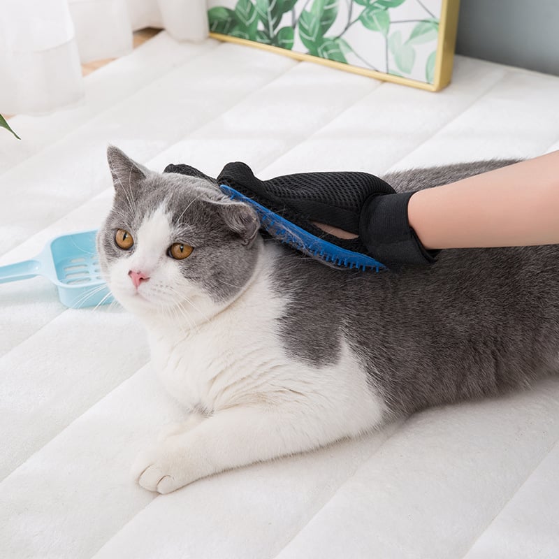 🐾 3-in-1 Pet Grooming Glove –  Brush, Bathe & Bond with Ease
