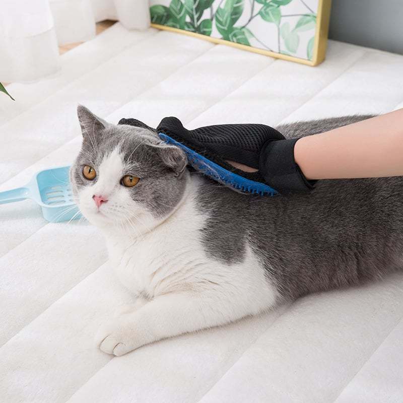 🐾 3-in-1 Pet Grooming Glove –  Brush, Bathe & Bond with Ease