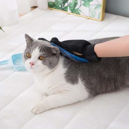 🐾 3-in-1 Pet Grooming Glove –  Brush, Bathe & Bond with Ease