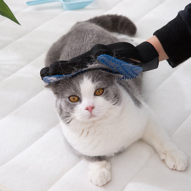 🐾 3-in-1 Pet Grooming Glove –  Brush, Bathe & Bond with Ease