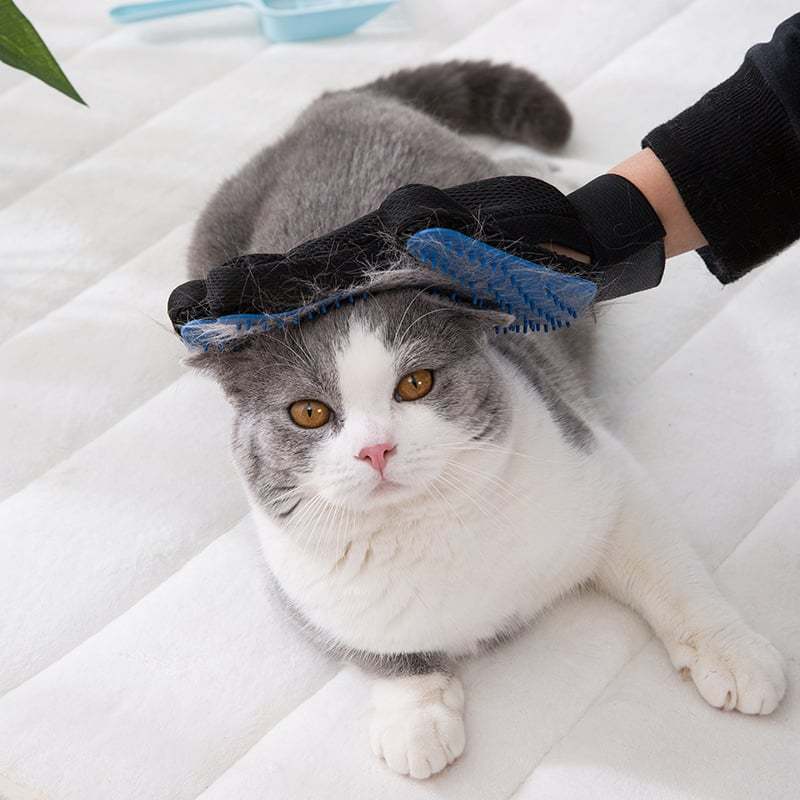 🐾 3-in-1 Pet Grooming Glove –  Brush, Bathe & Bond with Ease