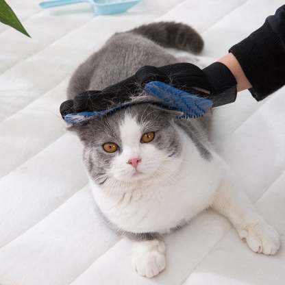 🐾 3-in-1 Pet Grooming Glove –  Brush, Bathe & Bond with Ease