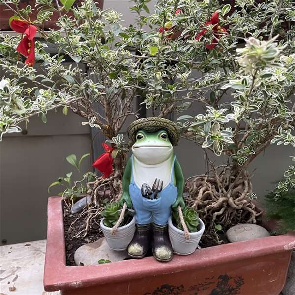 ✨New Arrival ✨😂Resin Funny Frogs Garden Statue🐸