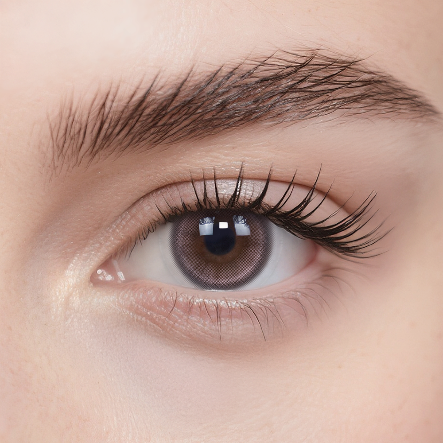 Marshmallow|1 Day,6pcs