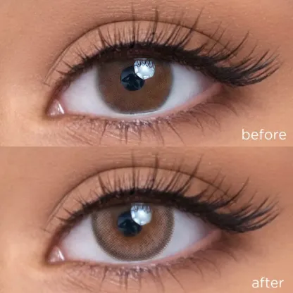 Chestnut Baked Cheese