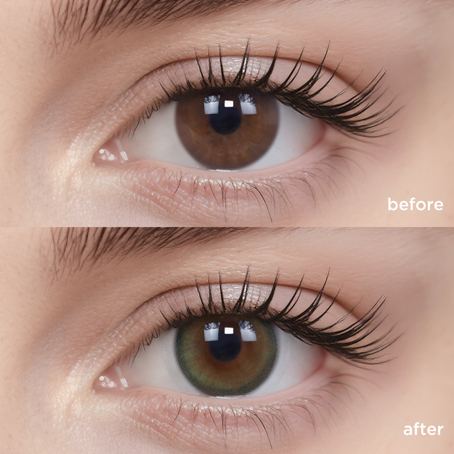 Matcha Cocoa-moodylenses