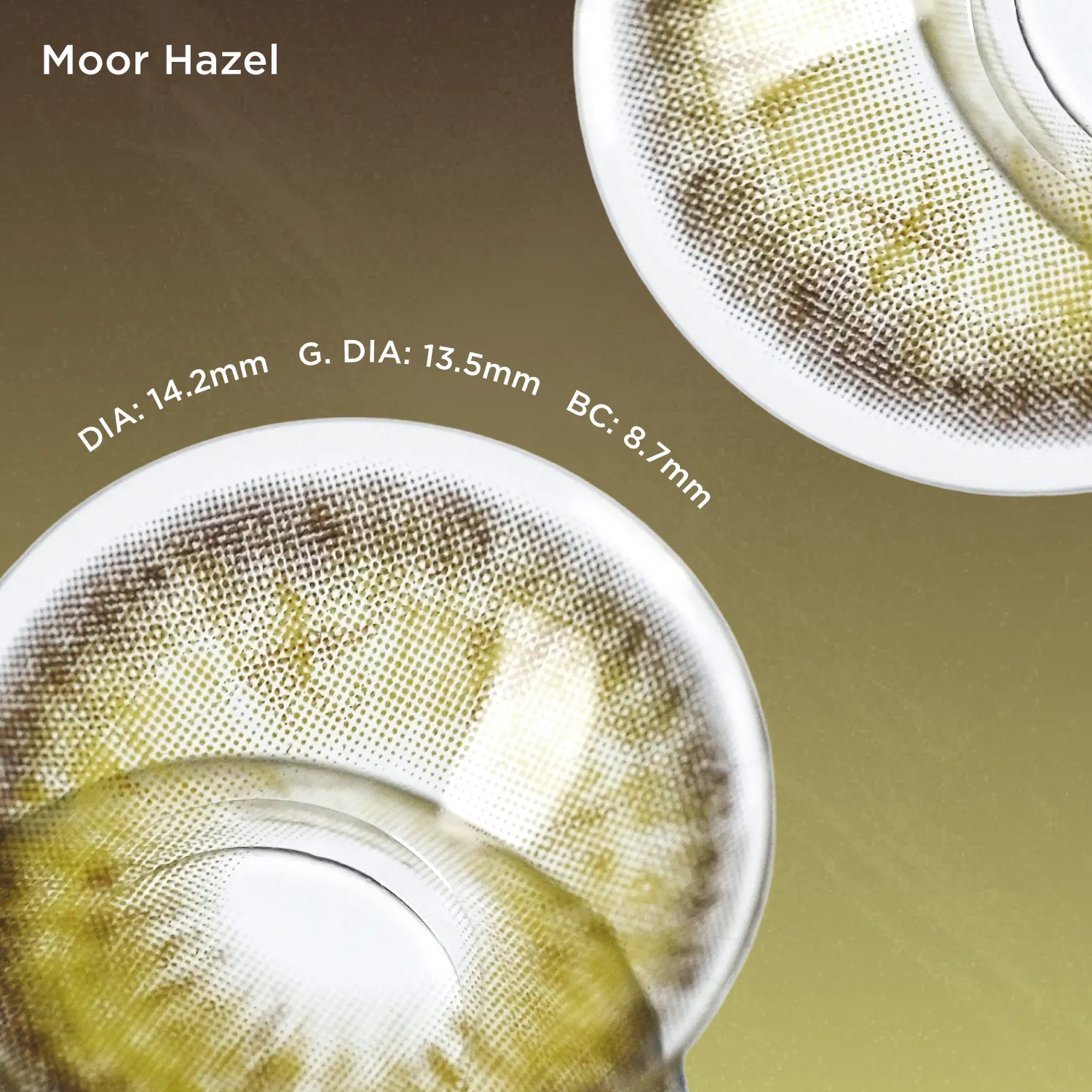 Moor Hazel(1 pc)