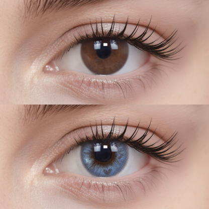 Blueberry Jelly | 6pcs