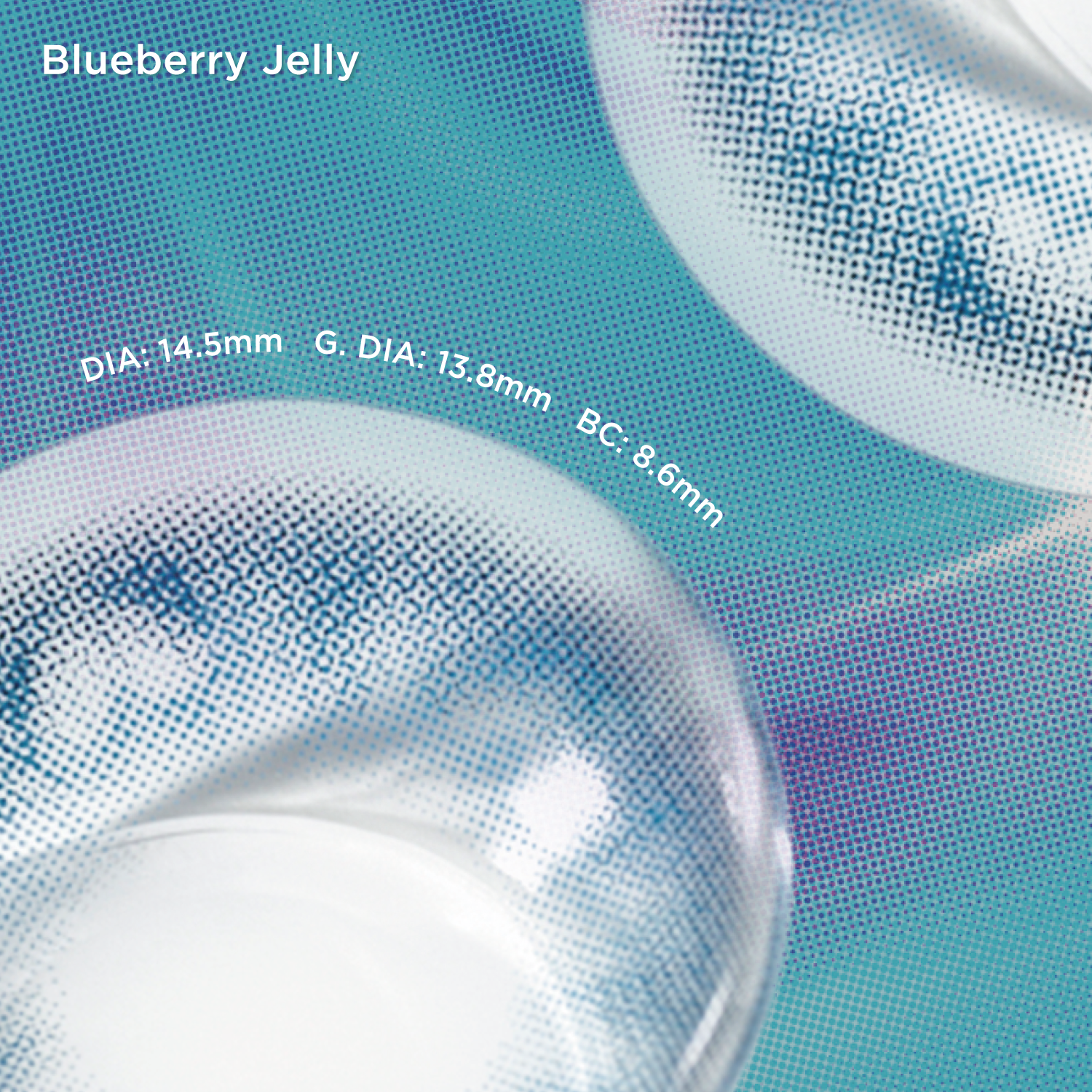 Blueberry Jelly | 6pcs