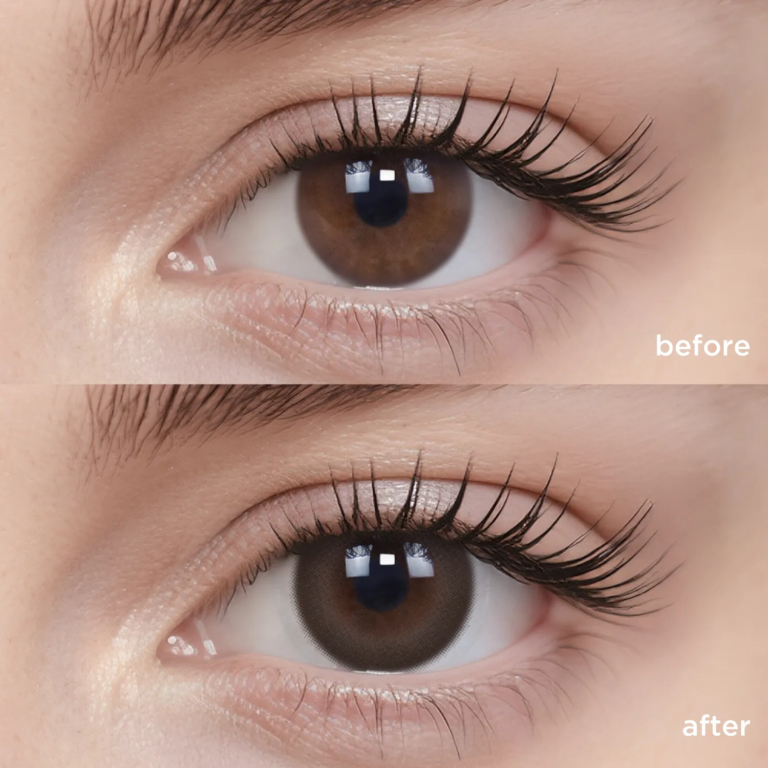 Puppy Brown on-eye comparison