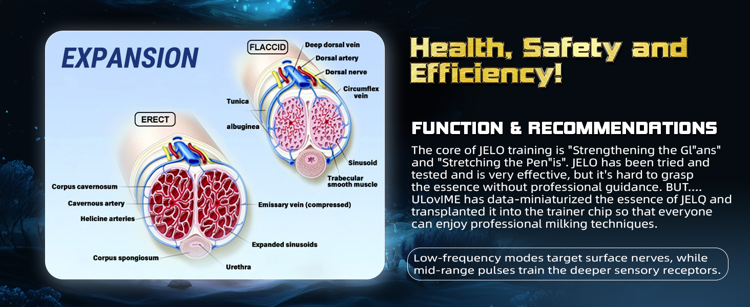 Men Male Masturbator Machine Stroker for Training