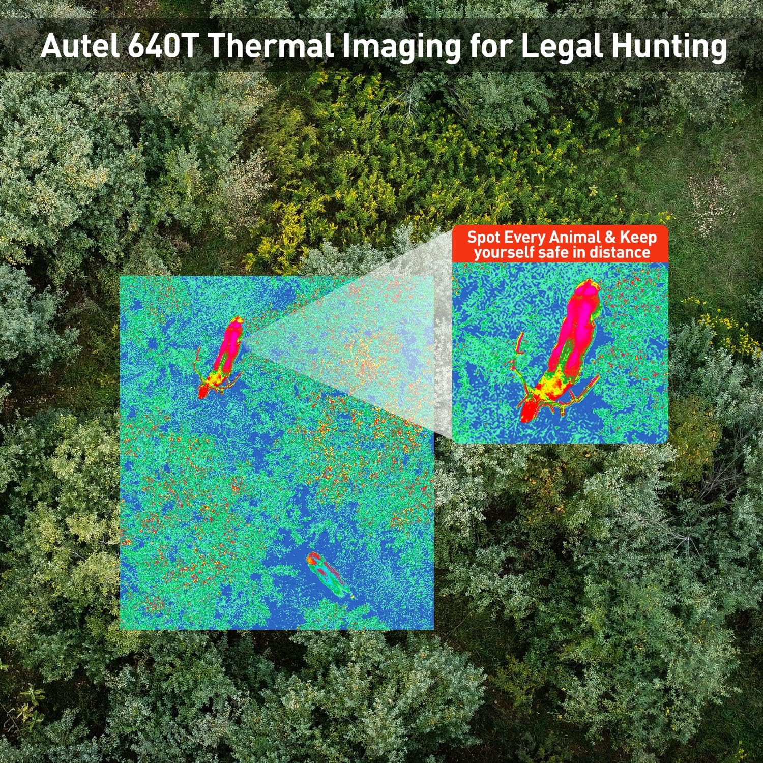 Product details image