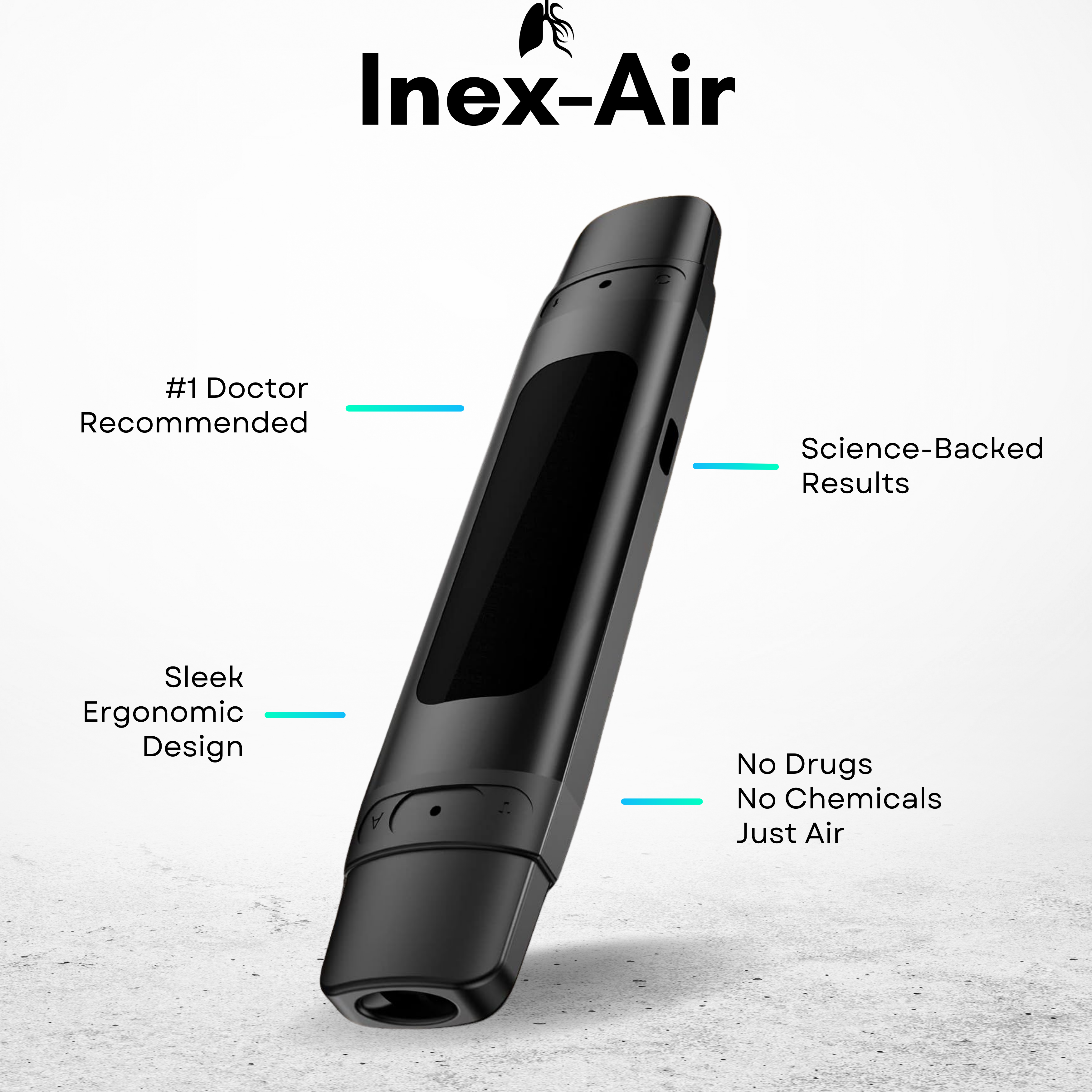 The Inex-Air