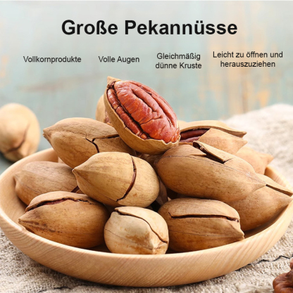 Amerikanische Pekannussbaum-Sämlinge