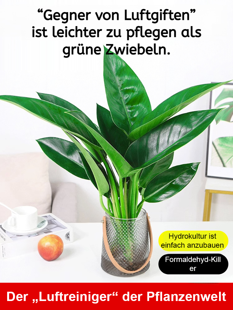 Nach Bestellmenge bestellen