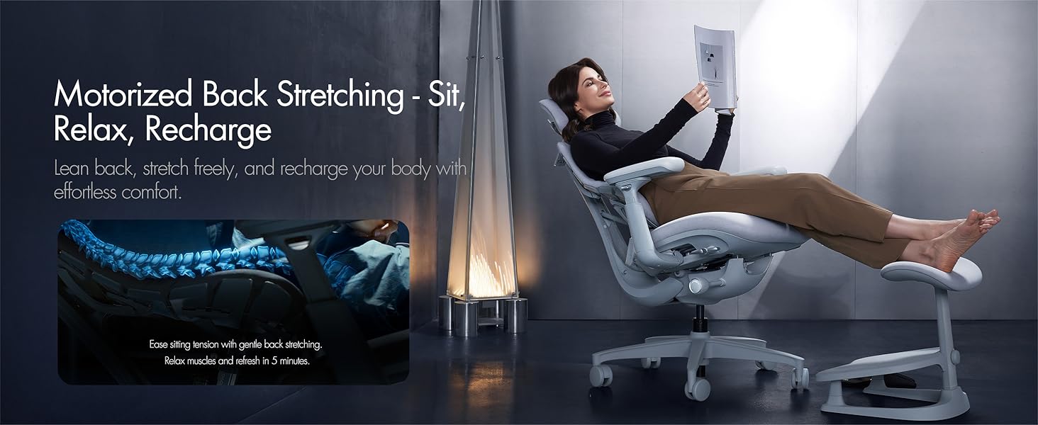 Libernovo Dynamic Ergonomic Office Chair Desk Chair for Home Office Gaming Long Hours Use