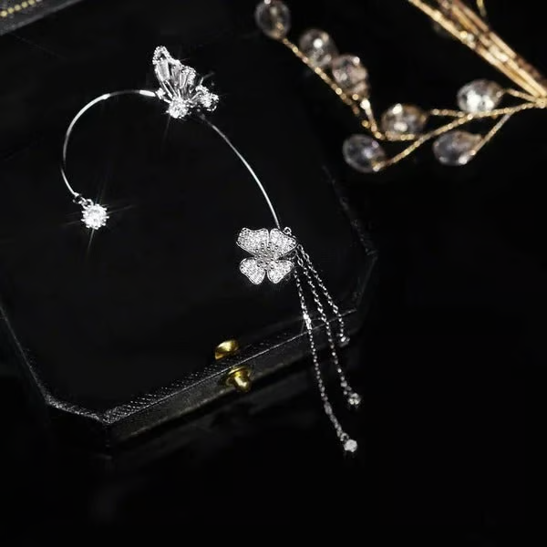 ✨🦋Cubic zirconia earrings with butterfly fringes