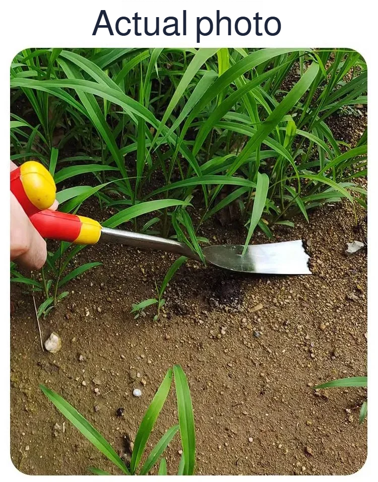 Wild vegetable shovel with serrated edge for cutting