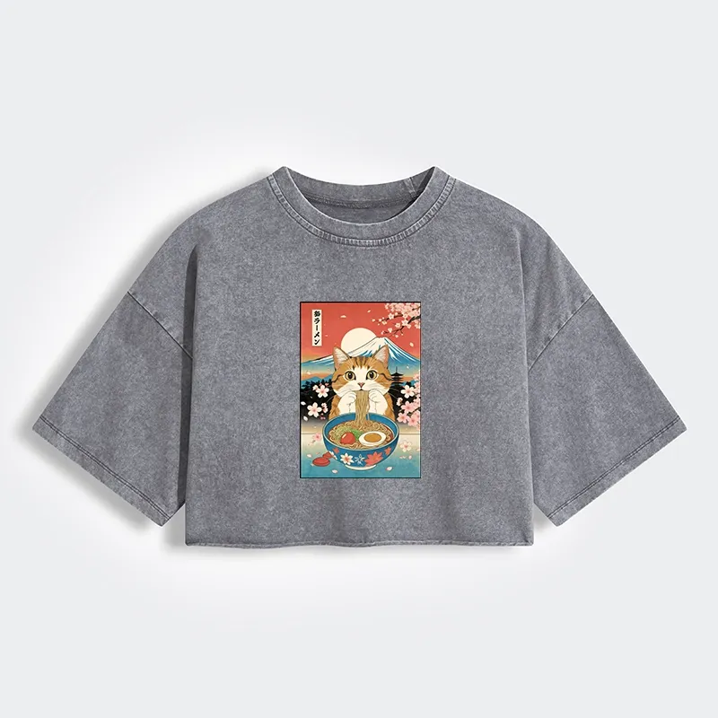 Funny Orange Cat Eating Ramen Japan Women's Washed Crop T-Shirt