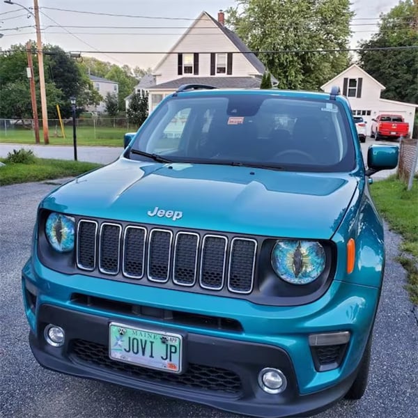 🎄Flash Sale 70% OFF 🥇Beast Eyes Headlight Decals (1 Pair)