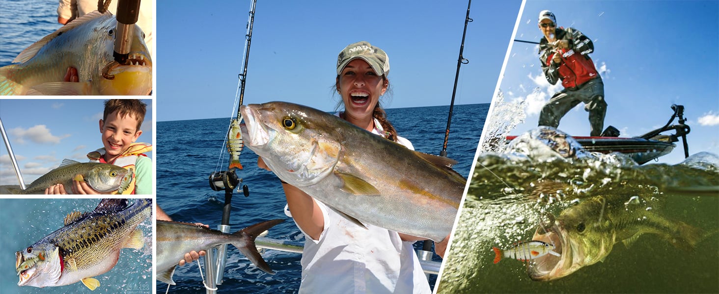 rapala fishing lures