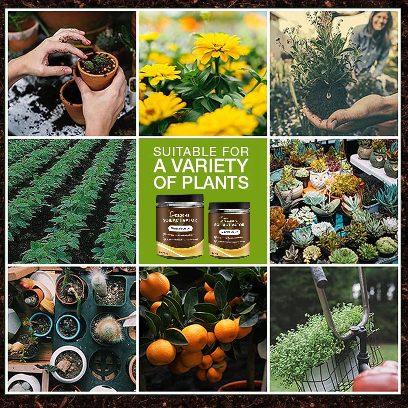 🔥Seasonal promotion🔥-Soil Pro Activator