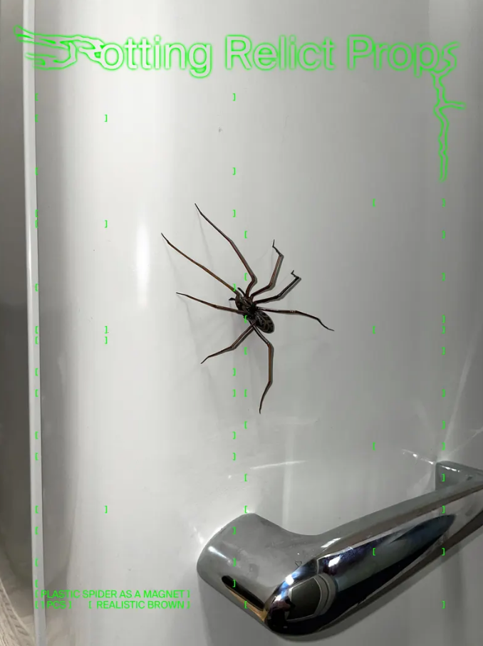 🔥Hot Sale 70% OFF - 🎁Realistic giant house spider fridge magnet