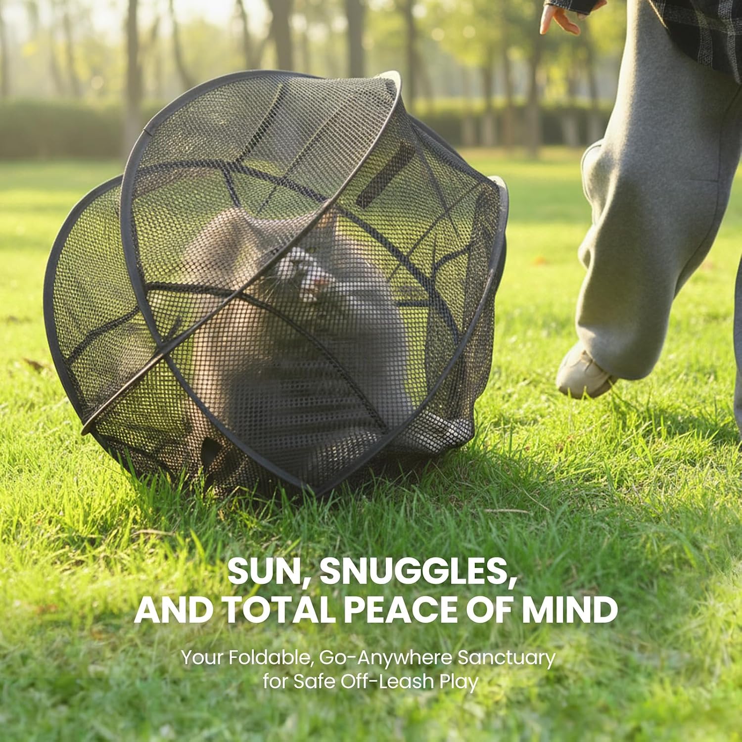 Cat relaxing inside portable panoramic mesh playpen