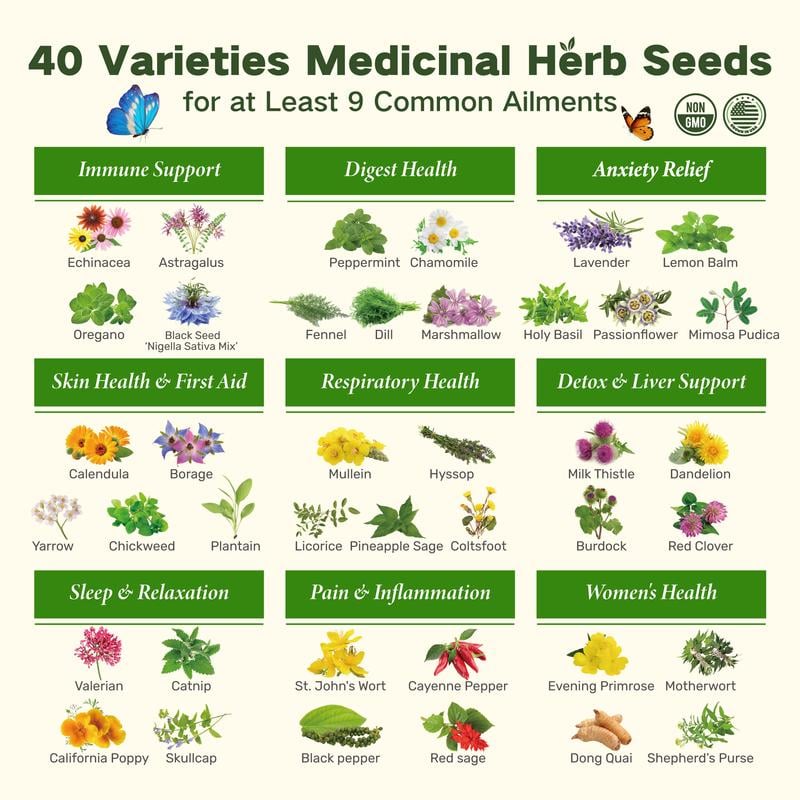 🌱​​LUSHandDEW Medicinal Herb Seed Chest – 40 Non-GMO Varieties​​🌿