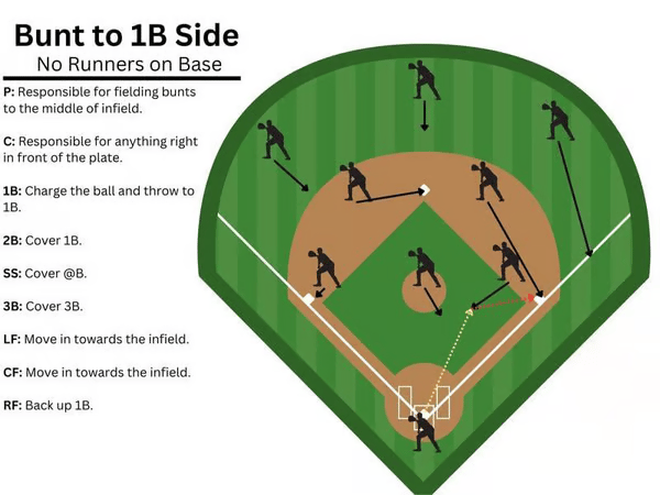 🔥All-time low price $19.98!  !🔥Baseball Softball Defensive Situations Guide Flip Book & Full Size Comprehensive Resource for Coaches Players Enthusiasts