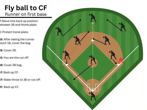 🔥All-time low price $19.98!  !🔥Baseball Softball Defensive Situations Guide Flip Book & Full Size Comprehensive Resource for Coaches Players Enthusiasts