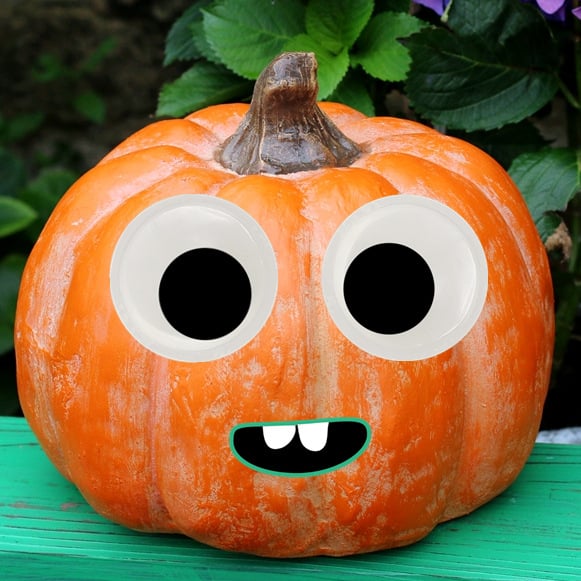 🔥LAST DAY 49% OFF🔥7 Inch Giant Googly Eyes Self Adhesive