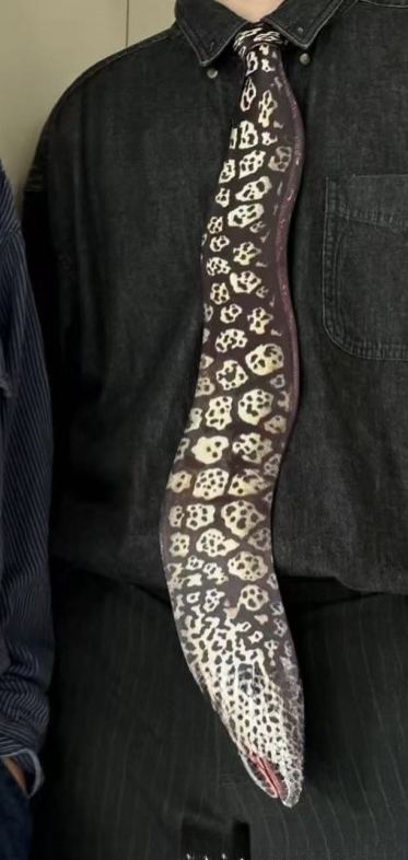 🎄Flash Sale 50% OFF 🔥Animal Ties - Add a Fun Twist to Your Wardrobe! 🐾