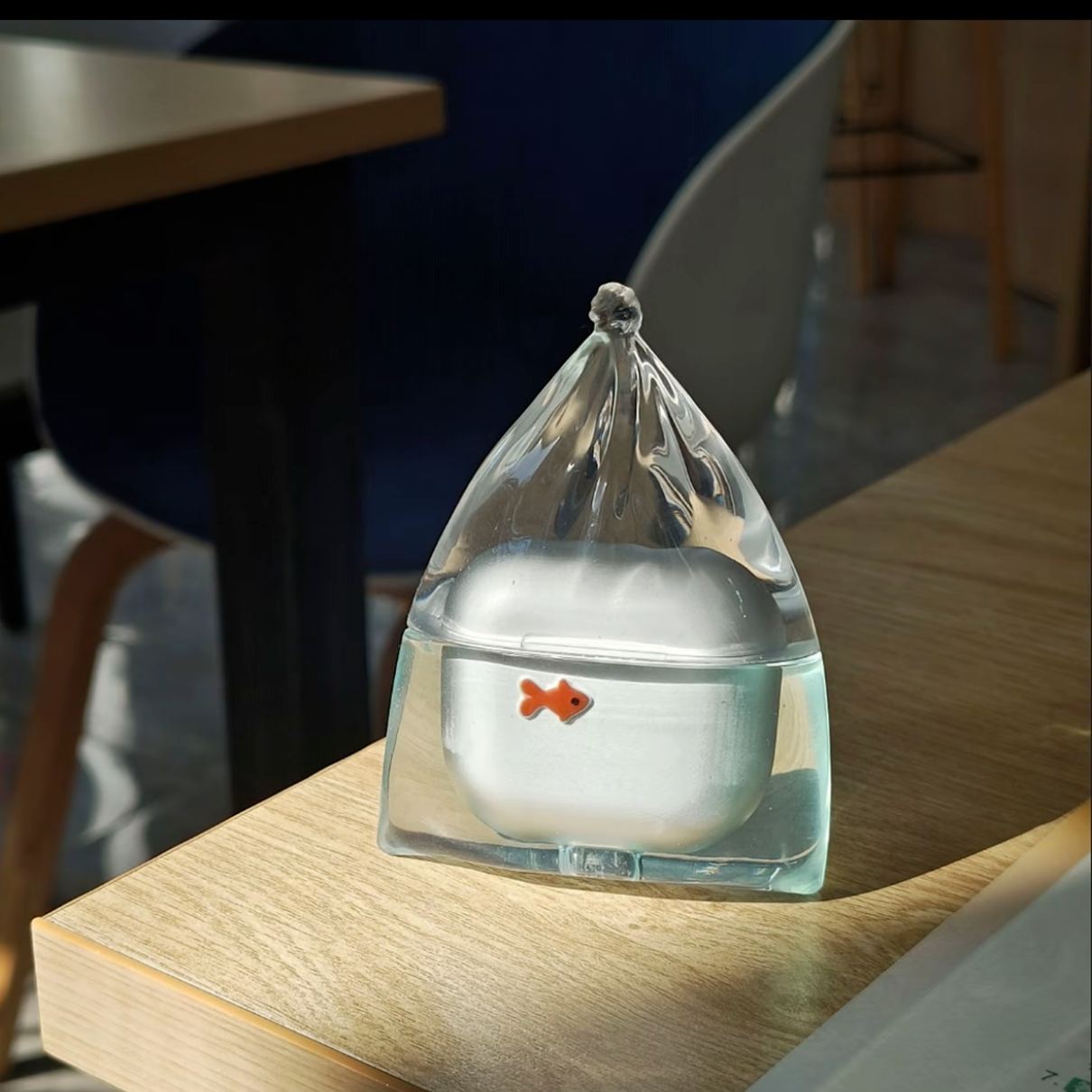 A Goldfish in a Plastic Bag